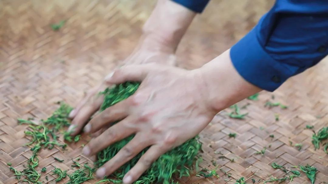 崂山绿茶是什么茶类型的茶,崂山绿茶和野生茶有什么区别