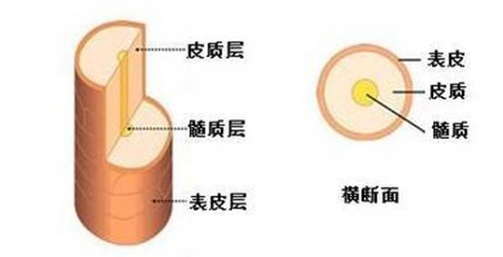内马尔泡面头恶搞,内马尔泡面头