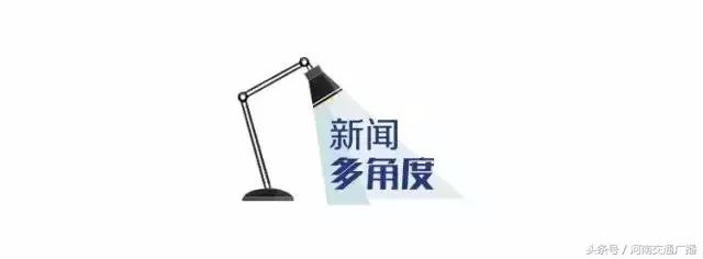 留学生回国卖宠物,女留学生被卖宠物