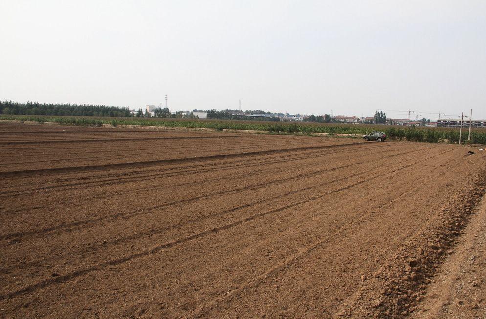 耕地上建房违法归哪个部门管理,一般耕地建房违反哪些法律