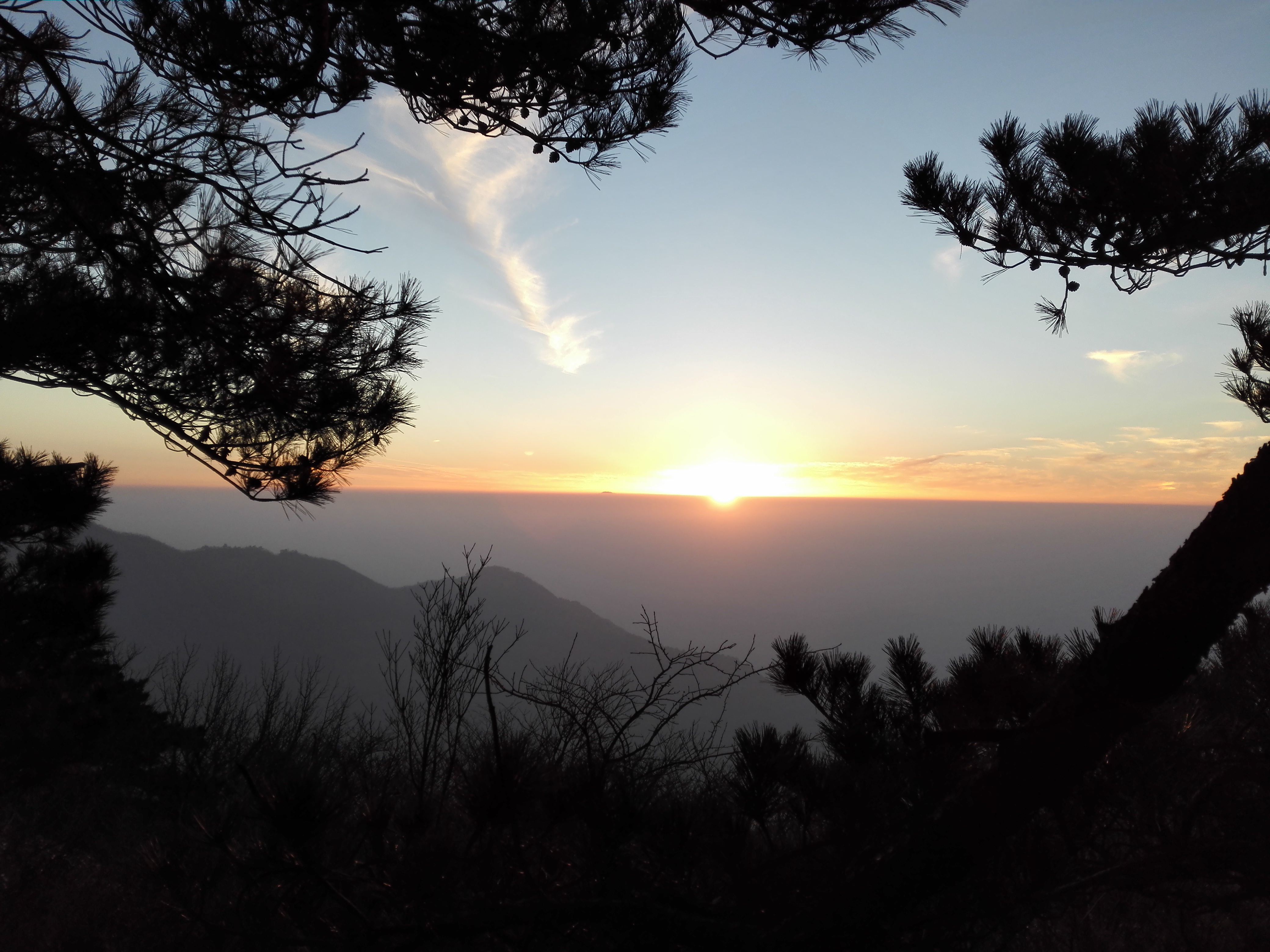 笋中的贝克汉姆,安吉天目山石笋,鲜美无比