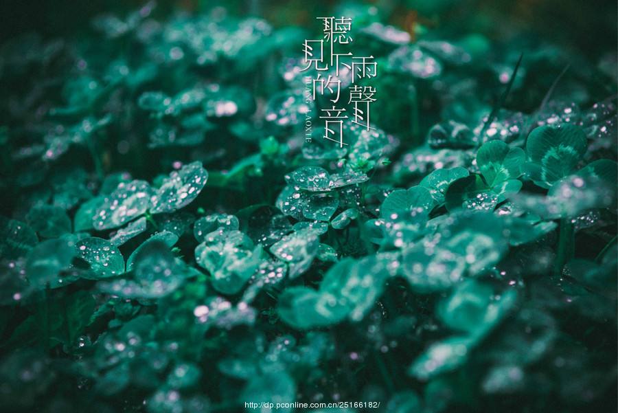 世界杯流行经典歌曲,世界杯英文伤感歌曲