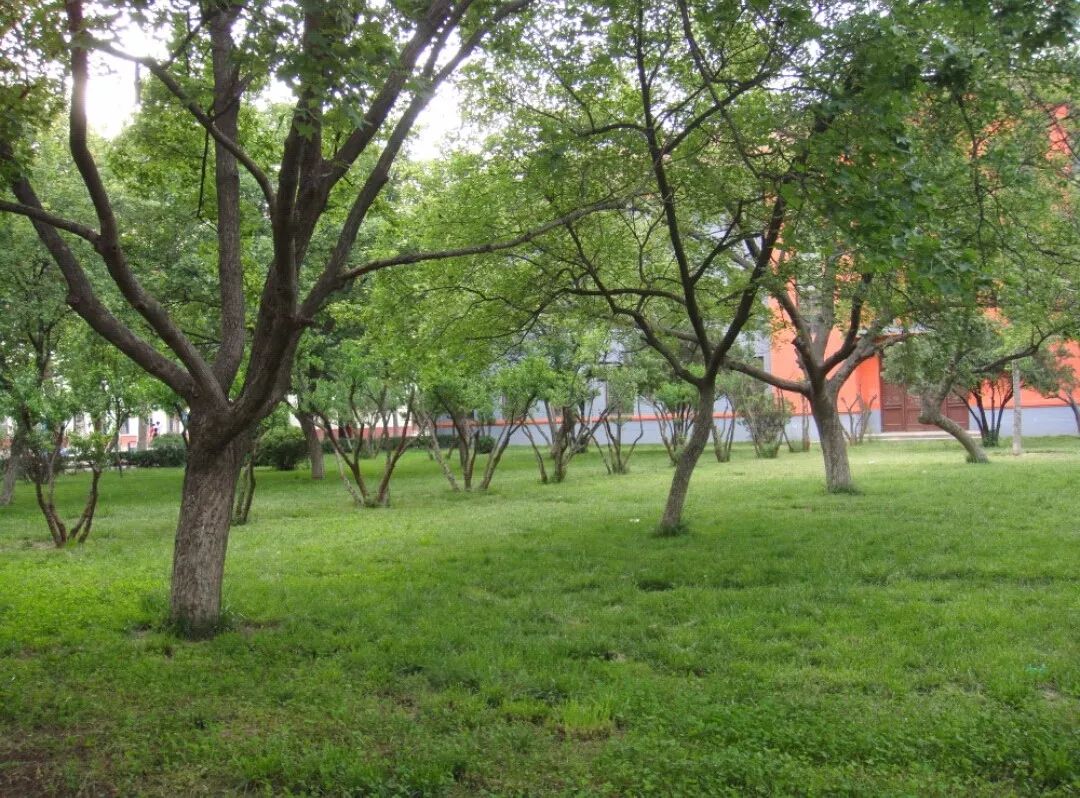 职业技术学院专业排名,职业技术学院招生专业一览表