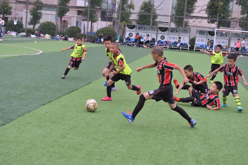 参加足球赛家长有什么好意见,参加足球比赛家长的感悟