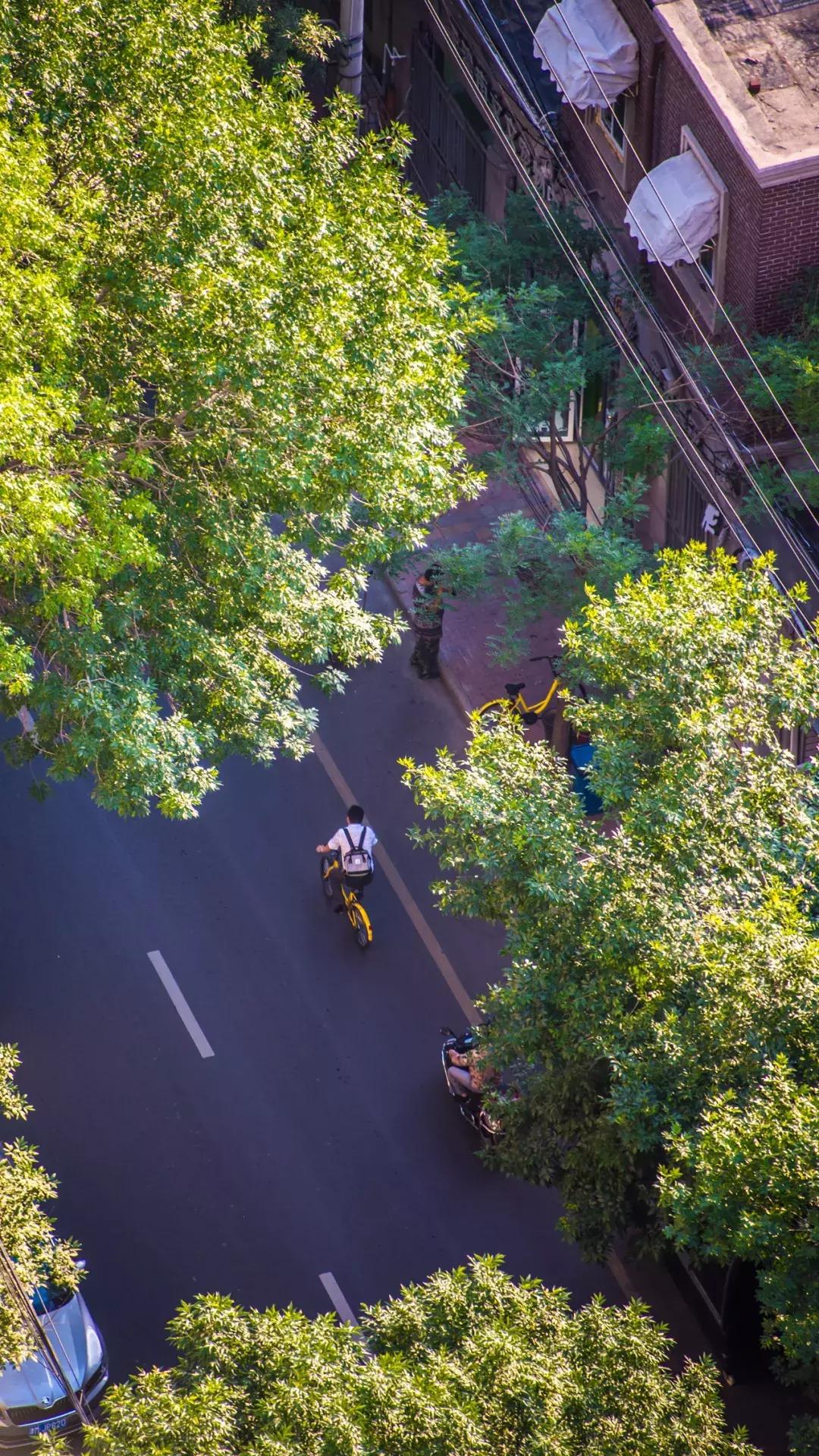 天津人八成有这样的朋友：浑身匪气说话冲肺管子，顾家又无微不至