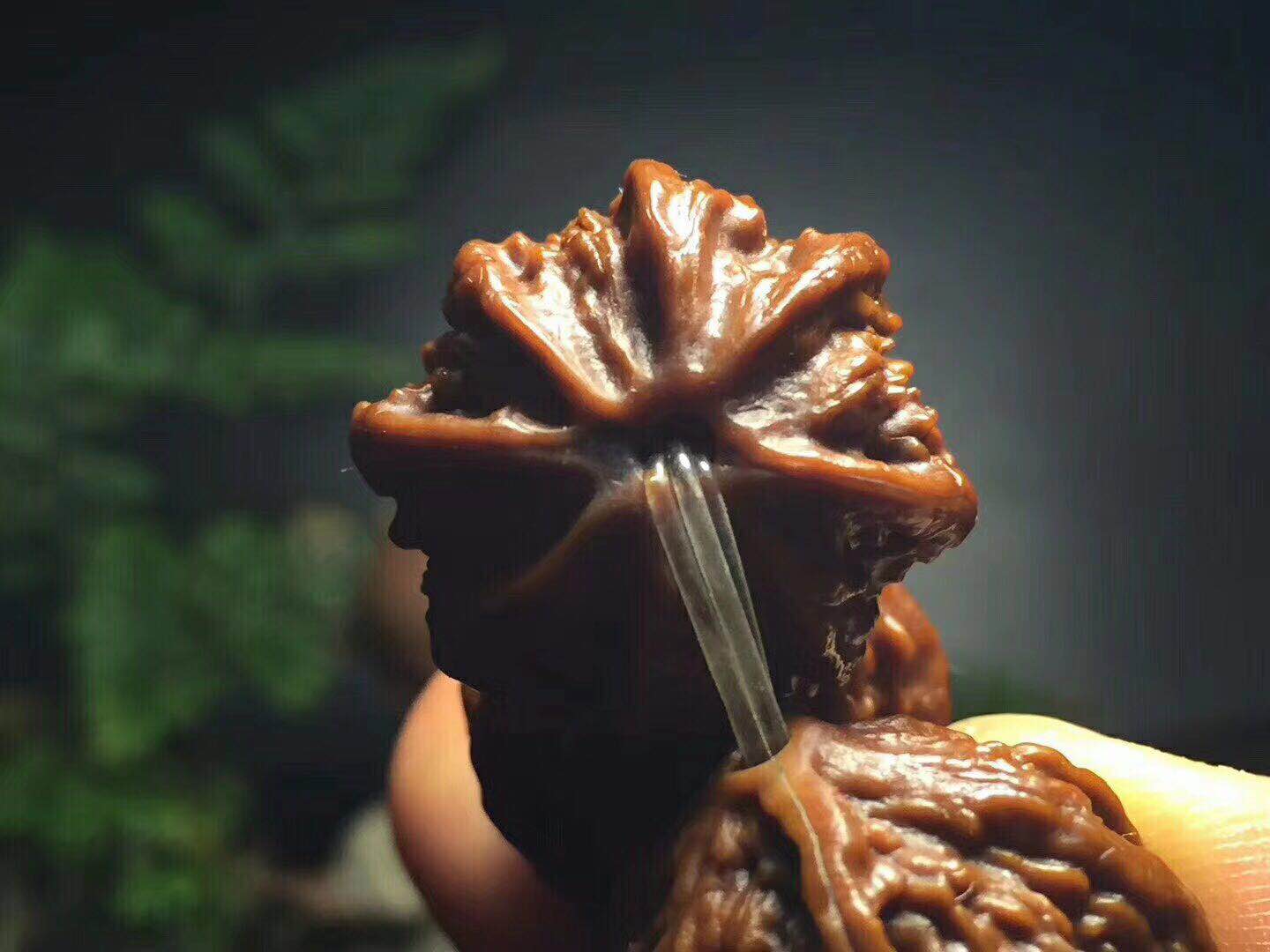 文玩市场淘鬼脸小核桃手串,十棱文玩小核桃手串哪产的