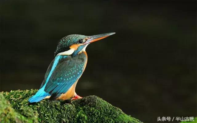 秦汉时期的首饰制作典型工艺,点翠工艺金银首饰制作工艺