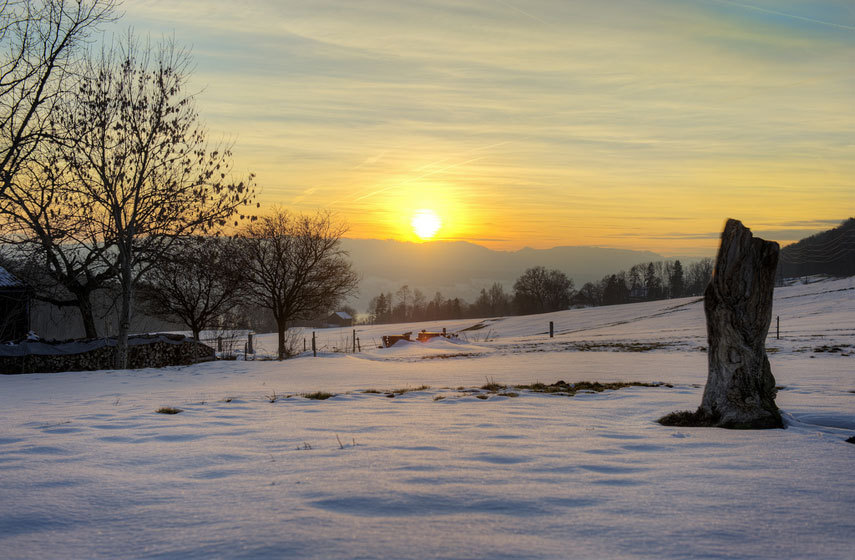 观《小森林》，怎样才能更好的生活