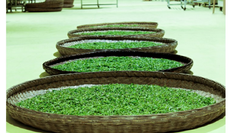 在秦巴山,一样有世界杯的激情与感动