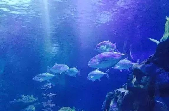 西安夏天有什么玩的,西安玩的娱乐项目