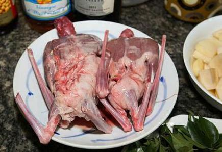 奇食之旅：台湾原住民“飞鼠肉”，肠子最好吃，张惠妹可能也吃过