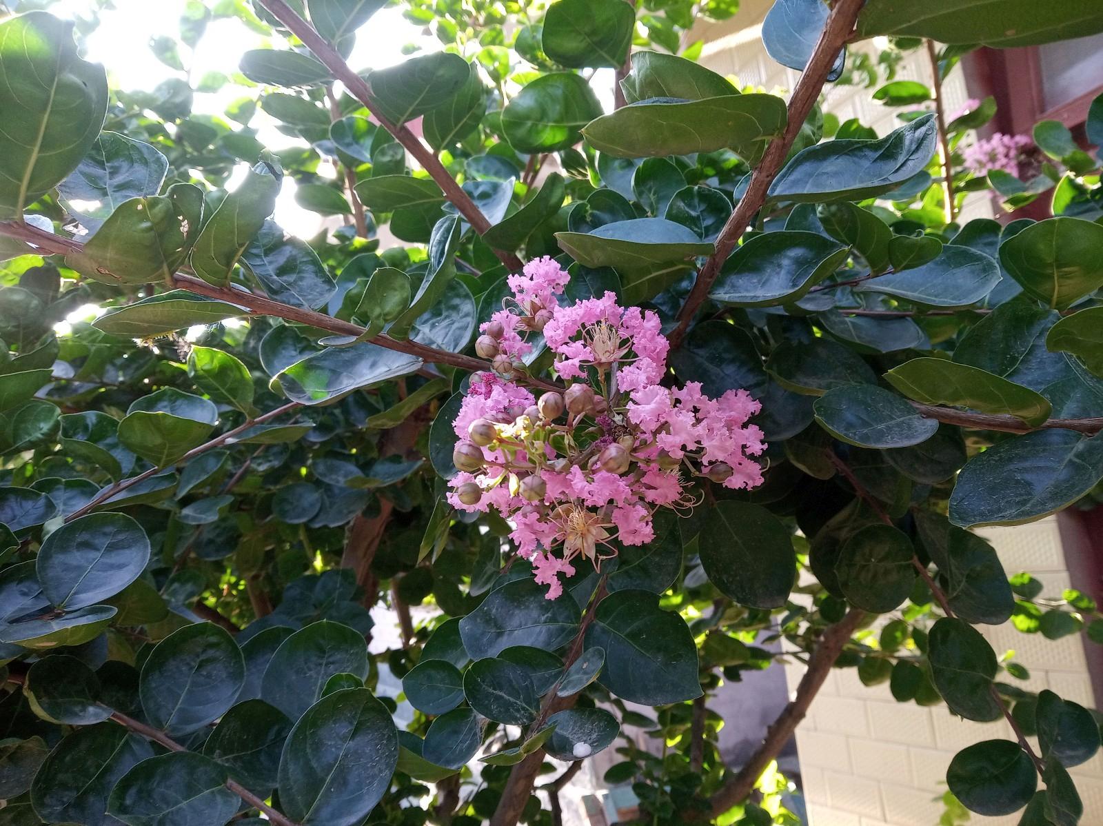 小米6测评值不值得购买,小米6跟红米6哪个好