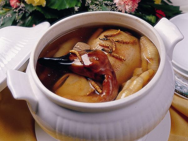 冬虫夏草补肾,冬虫夏草补肾益肺功效