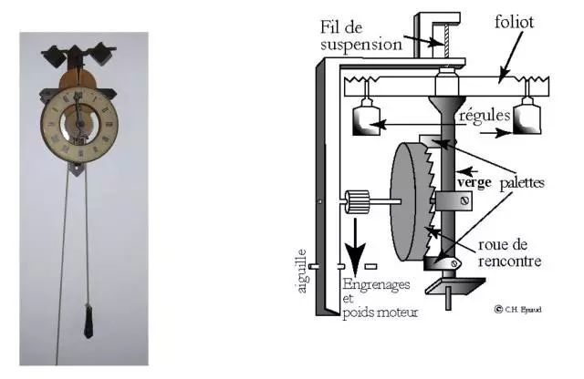 塞德里克·维拉尼：数学家是世界上最好的工作
