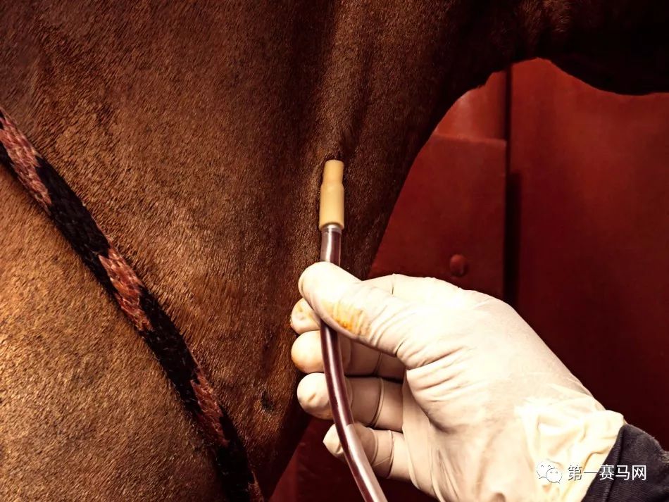 2023世界禁毒日主题是什么,世界禁毒日为什么是6.26