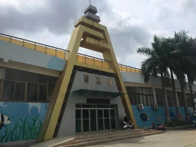 广西高校运动场哪家好,广西区高校排球赛