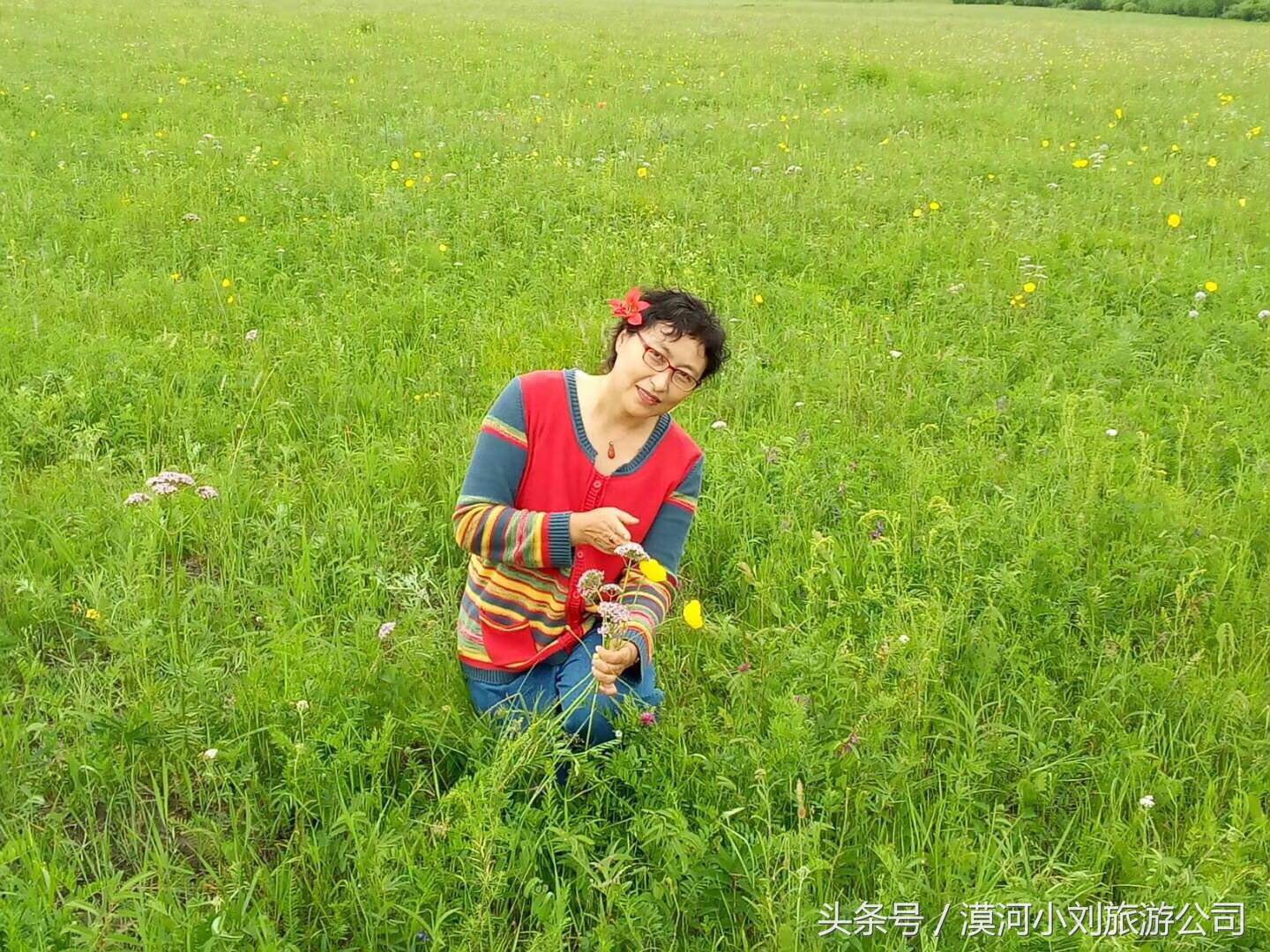 现在的呼伦贝尔大草原景色,呼伦贝尔草原的风景是怎样的