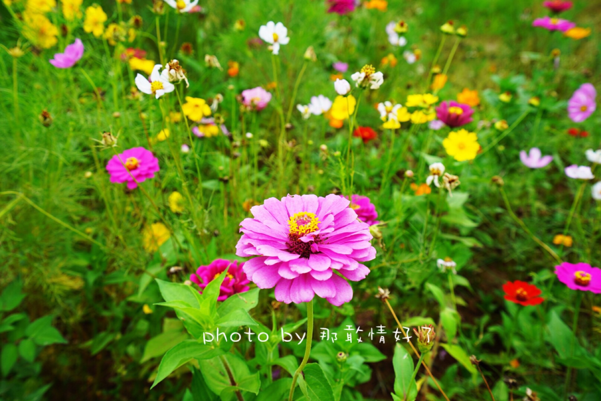 滁州小众的地方,滁州小众