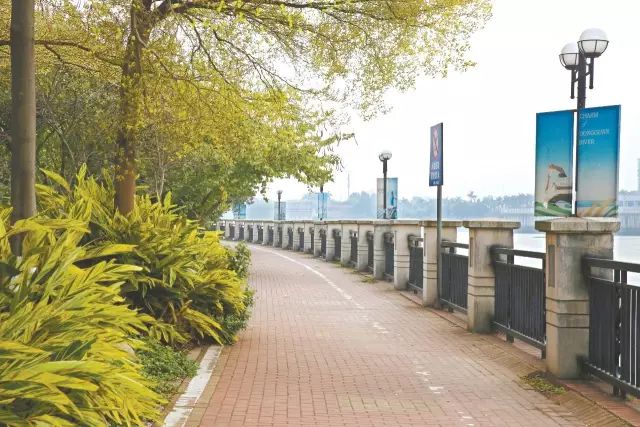 2018年度全国百强镇出炉！石碣榜上有名！