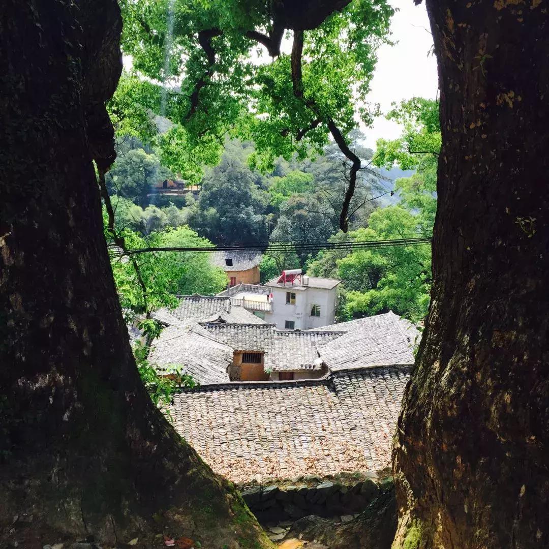 最后的江南秘境松阳,松阳寻访江南秘境