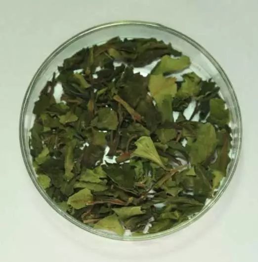 云龙网络禁毒宣传,中国禁毒网六月份禁毒宣传