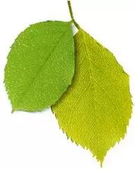 困扰好几年的痘痘终于好了,困扰多年痘痘终于好了