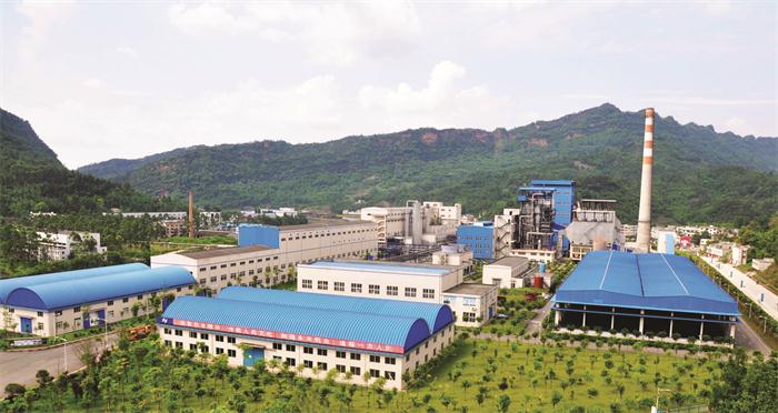 四川竹产业如何高质量发展,四川竹浆纸