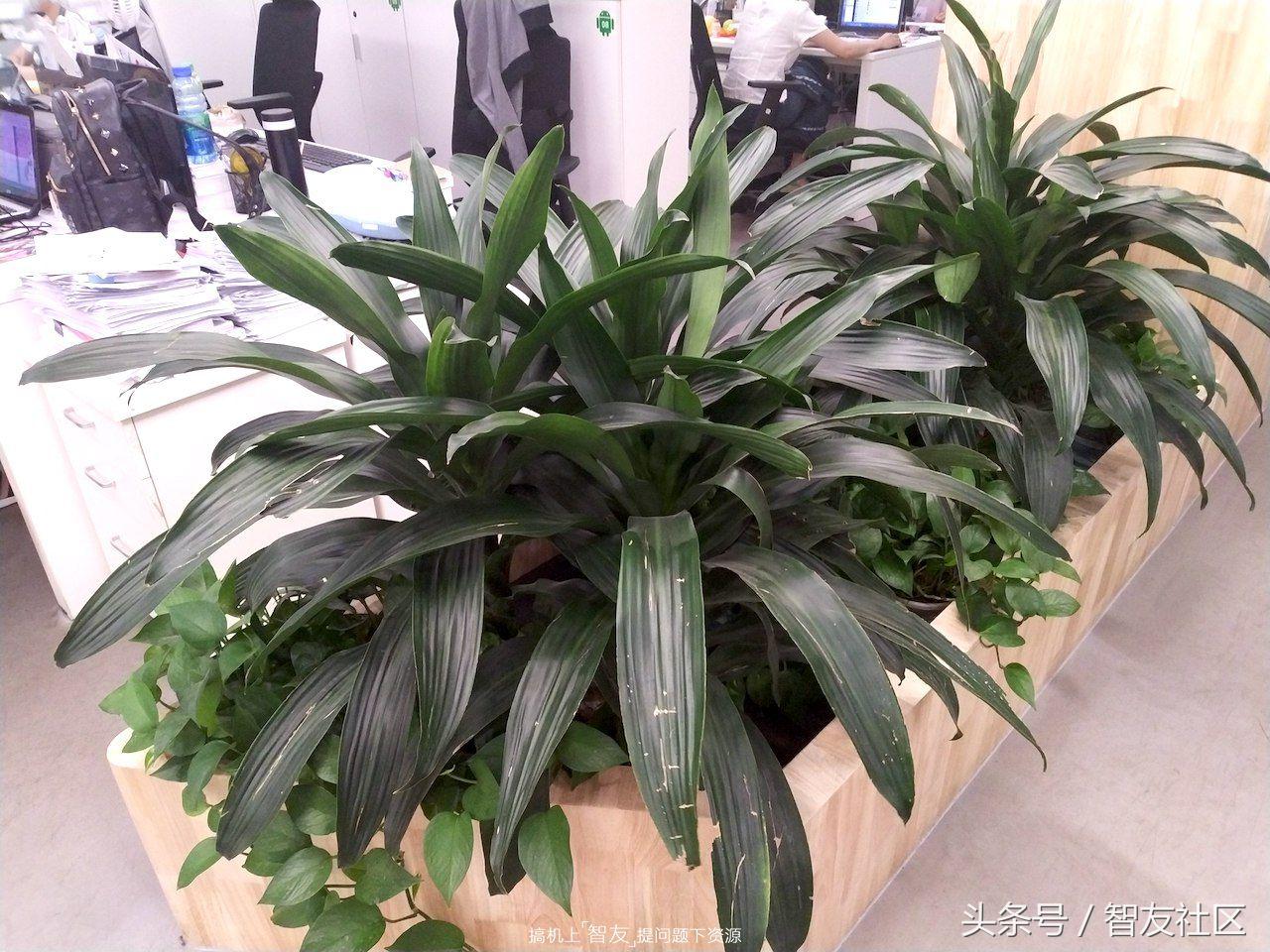 小米平板5pro和ipad2021哪个更好,小米平板5pro和ipadair4比较