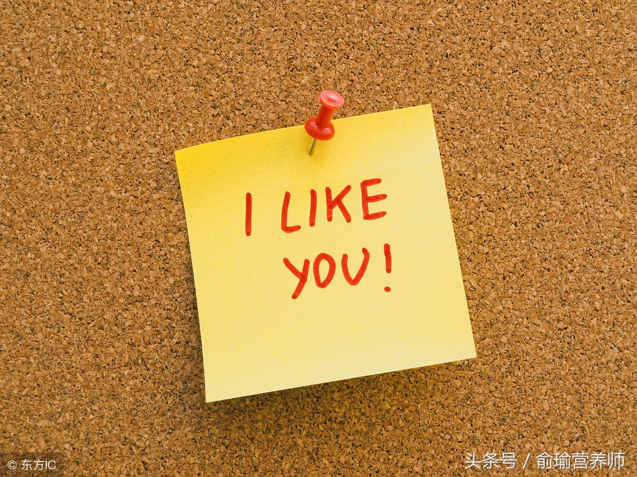 22天减肥法菜单,热门减肥食谱一周安排表