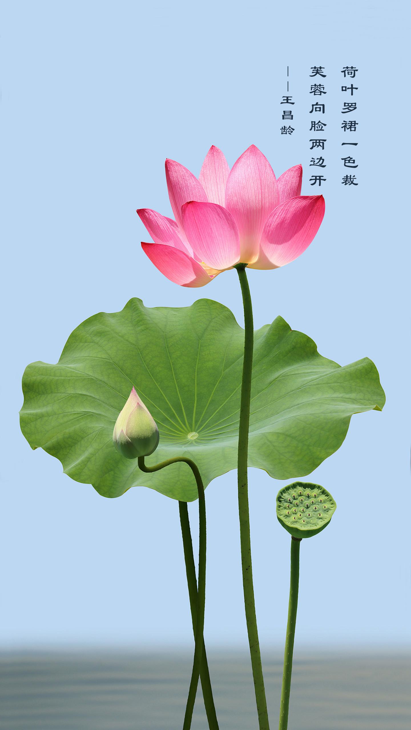 人生难打开的是心门,人生最难打开的就是心锁