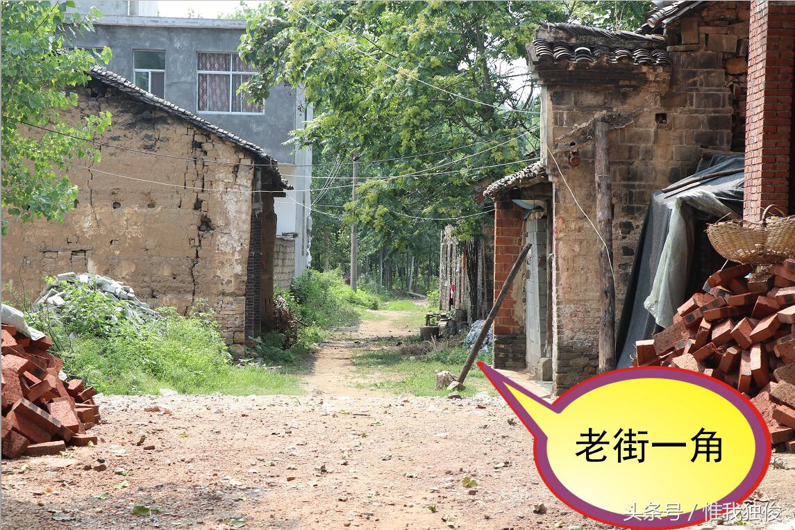 随州太白顶风景区简介视频,发现之旅神农架野人之谜