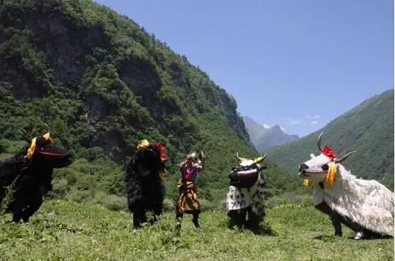 2018平武*牙虎**夏令营招募学员啦！Letthechildbeachild！