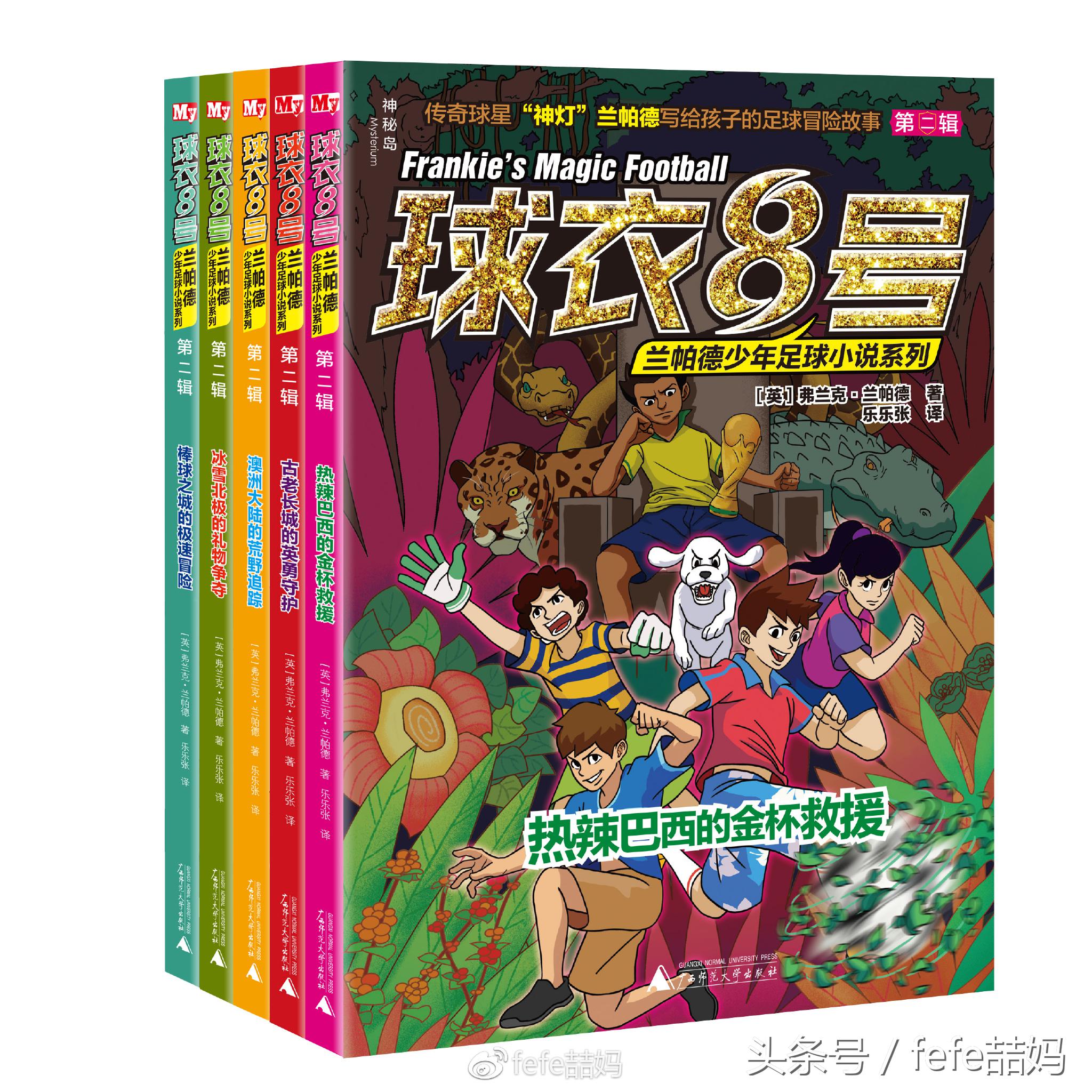 足球世界杯必备书,足球书籍世界杯