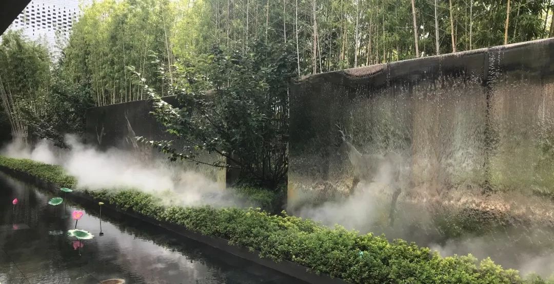 卢俊接受采访,卢俊的全部视频