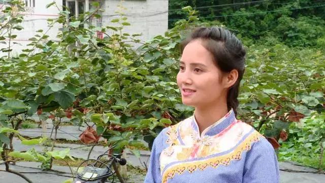 广西乐业：红心猕猴桃+有机茶，脱贫双招牌让农民搭上致富“快车”