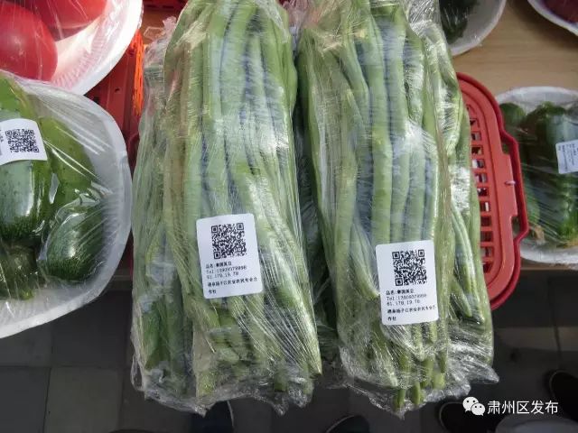 荒滩变成花海乡村富了百姓笑了,荒滩变成基本农田