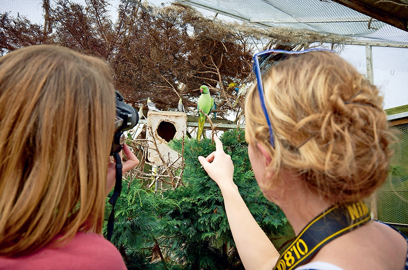 单反相机快速入门,单反相机入门购买