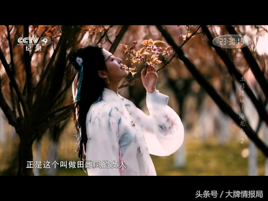 央视好看的纪录片考古,央视的考古寻宝