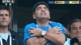 世界杯观看球赛,世界杯看电影