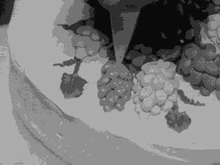 花边翻糖蛋糕的做法视频,蛋糕侧面的翻糖花边怎么固定