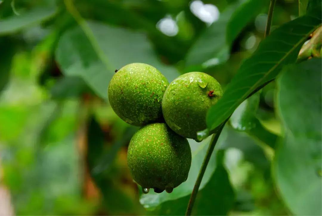 最新消息！国家点名表扬北京这几个区，快看看有你们家嘛？