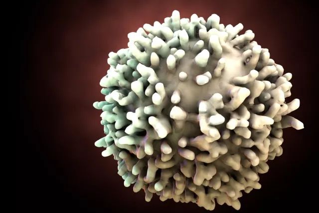 c罗最著名的运动员,除了c罗还有哪些球员