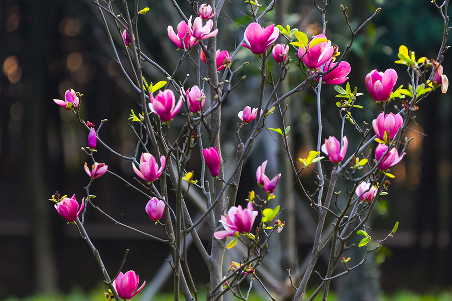 他喜欢你,一定会主动找你