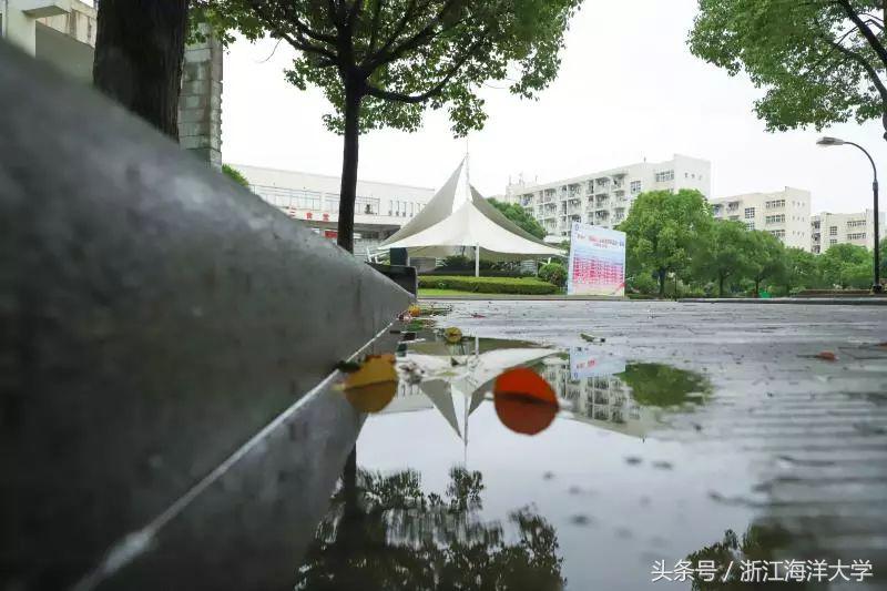 你觉得大海是怎么样的二年级上册,你觉得夏天是怎样的