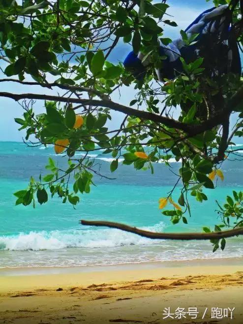 单次世界杯进球最多的国家,世界杯进球最多一场的国家