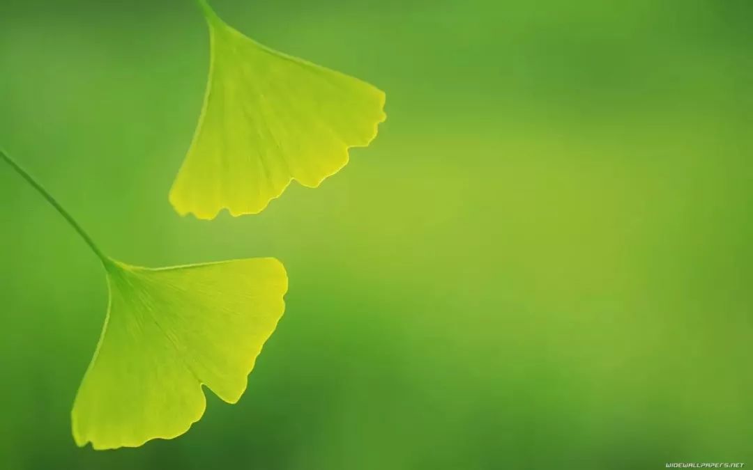 微信聊天护眼背景图高清大图,护眼背景图微信聊天背景