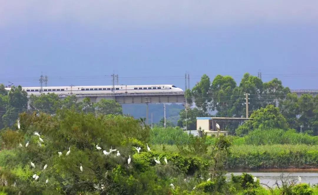 阳西铁路正式售票，广州南到阳西140元！7月1日一等座基本售罄？