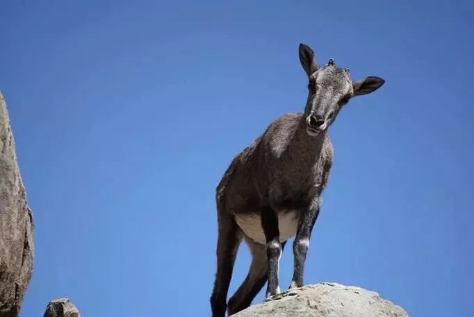 心泊塞上江南，钟灵毓秀贺兰！