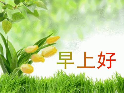 微信朋友圈早上好表情图片大全,早上好微信动态表情精美图片大全