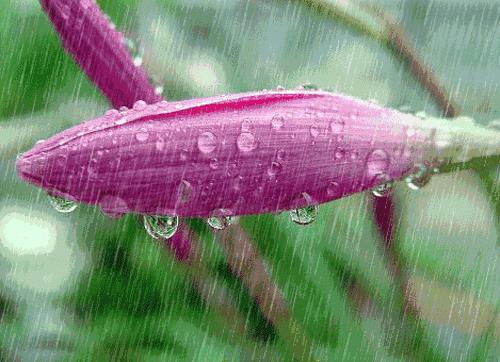 早上好微信动态表情图片大全,早上好微信动态表情精美图片大全